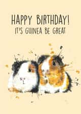 watercolour guinea pig Birthday Card 13896 created by Splatterworks