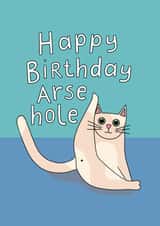 Happy Birthday Arsehole created by Sweary Cats by Leaf Lane Studio