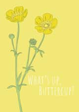 Buttercup what's up Just because Card 19594 created by Anna Norburn