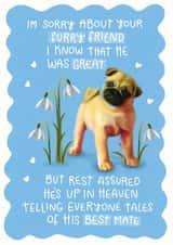 Pet bereveament card created by Hot Dog greetings