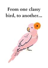 Card 33581 created by Warwick Studios