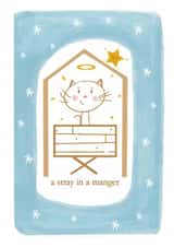 stray cat Christmas Card 16809 created by Jolly Judy