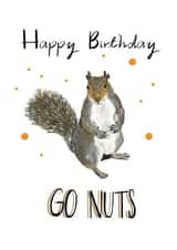 go nuts Birthday Card 18718 created by Emily Hunter
