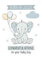 Born in 2025 Baby Boy created by Creaternet