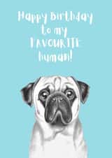 Cute Pug Birthday Card created by Ashley Louise