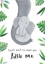 little elephant Pregnancy Card 9981 created by Chloe Fae Designs