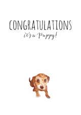 Congratulations new Congratulations Card 1603 created by Jo Scott Art
