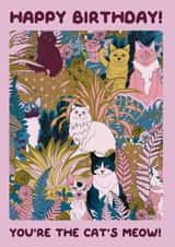 cat cat lover Birthday Card 20042 created by OMG Kitty