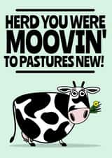 Herd you were moovin'. New home, new job card created by Teeneebash