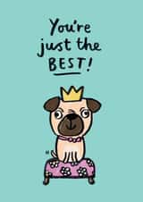 dog illustration Congratulations Card 18303 created by Jenny Seddon