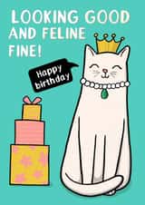 Looking good and Feline Fine created by Drawn to Cats