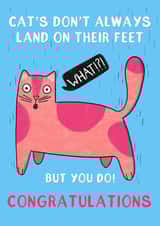 Land on Your Feet created by Drawn to Cats