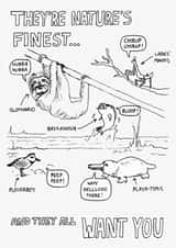 natures finest Anniversary Card 44933 created by MARNAN!