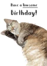 cat kitten Birthday Card 18087 created by Sarah Stephenson