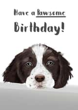 dog puppy Birthday Card 18088 created by Sarah Stephenson