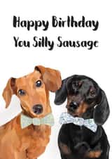 Cute Birthday Card - Dachshund - Sausage Dog - Happy Birthday You Silly Sausage created by Sarah Stephenson