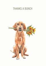 watercolour pet Thank You Card 19311 created by Rhiannon Williams Art