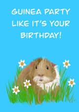 Guinea pig birthday card. Perfect for a pet lover created by Rae of Sunshine