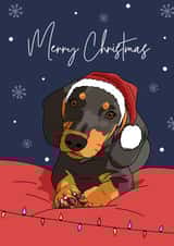 Modern - Dachshund - Sausage Dog - Trendy - Christmas Dog - Snowflakes - Santa Hat - Furry Friend - From The Dog - Christmas Card created by Evie Garnett Designs