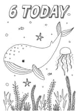 6 Today Whale Colouring Card created by Zoe-Claire