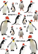 Cute - Funny - Penguin - Pun - Its Beginning To Look A Lot Like Christmas - Santa Hats - Festive Penguins - Christmas Card created by Blooming Typical Designs