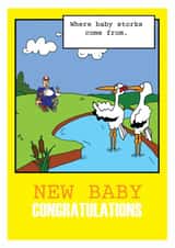 stork adult New Baby Card 20262 created by Out of Focus