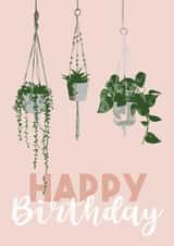 plants green Birthday Card 7312 created by Amy Ellen Designs