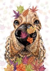 Funny Spaniel Blank Card created by sarahcoxartwork