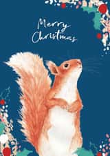Beautiful Merry Christmas Red Squirrel - Cute Wildlife watercolour and pattern created by Miss Meaney's