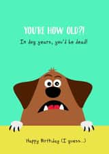 Fuunny Biraathday Card Card 37037 created by Richard