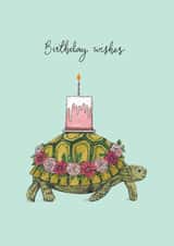 tortoise birthday card turtle birthday card Card 45423 created by Amelia Ilangaratne