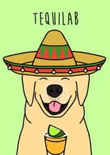 tequila tequila shot Birthday Card 18798 created by Holly Collective