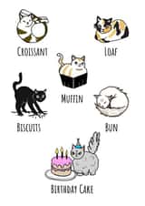 Bakery Cats Birthday Card created by Send Salutations