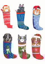 Cute - Furry Friends - Christmas Stockings - Animals - Cats and Dogs - Fluffy Stockings - Pets - Christmas Card created by Sally Darby Illustration