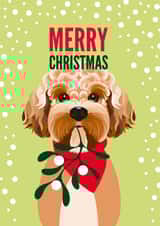 Cockapoo and mistletoe Christmas card created by Diva Doodle Designs