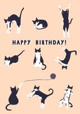 cat cute Birthday Card 19277 created by Eleanor Beetle