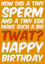 Twat Rude Birthday Card 7653 created by Sean David Cards