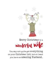 funny wife Christmas Card 2735 created by Dandelion Stationery
