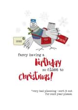 christmas birthday happy birthday Christmas Card 2744 created by Dandelion Stationery