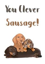 Clever sausage Sausage dog Graduation Card 18095 created by Sarah Stephenson