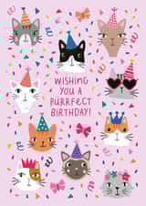 pun purrfect Card 20309 created by Mifkins