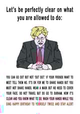 boris cv2020 Birthday Card 45742 created by Crafty Birdie Designs