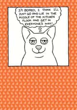cat lady cats Just because Card 1828 created by On The Prowl Cat Cartoons