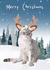 Cat Grumpy cat Christmas Card 18097 created by Sarah Stephenson
