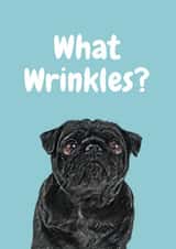 Cute Birthday Card - Dog - What Wrinkles? created by Studio Woof