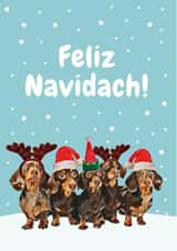 sausage dog Christmas Card 20648 created by Studio Woof