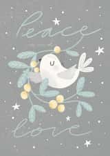 Dove Peace Christmas Card 20873 created by Alicia Cambridge