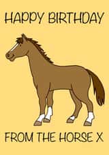 Horse Pony Birthday Card 16707 created by LydsPrivsCards