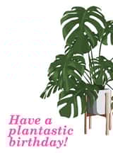 birthday card cheese plant Card 39875 created by MerryNotesDesigns