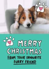 Personalised Christmas Photo Card created by Angela Chick - Cute Christmas Card - Furry Friend - From The Cat - From The Dog